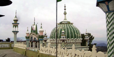 image (2)